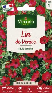 Lin de Venise